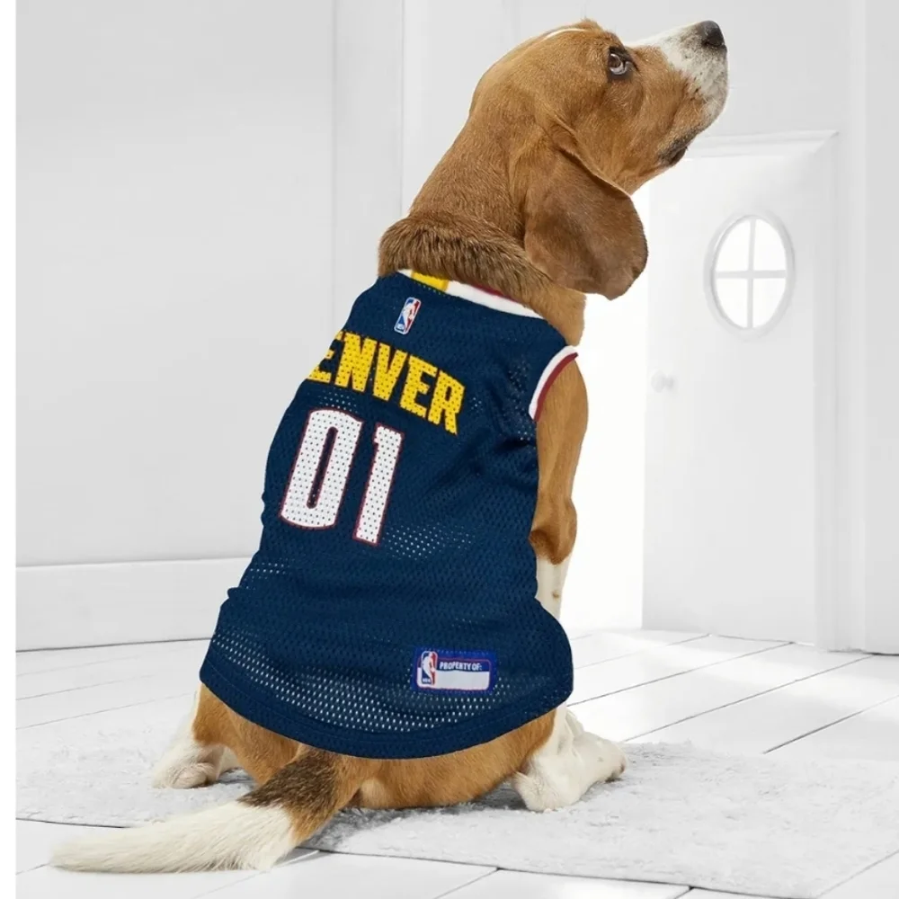 NBA blue mesh