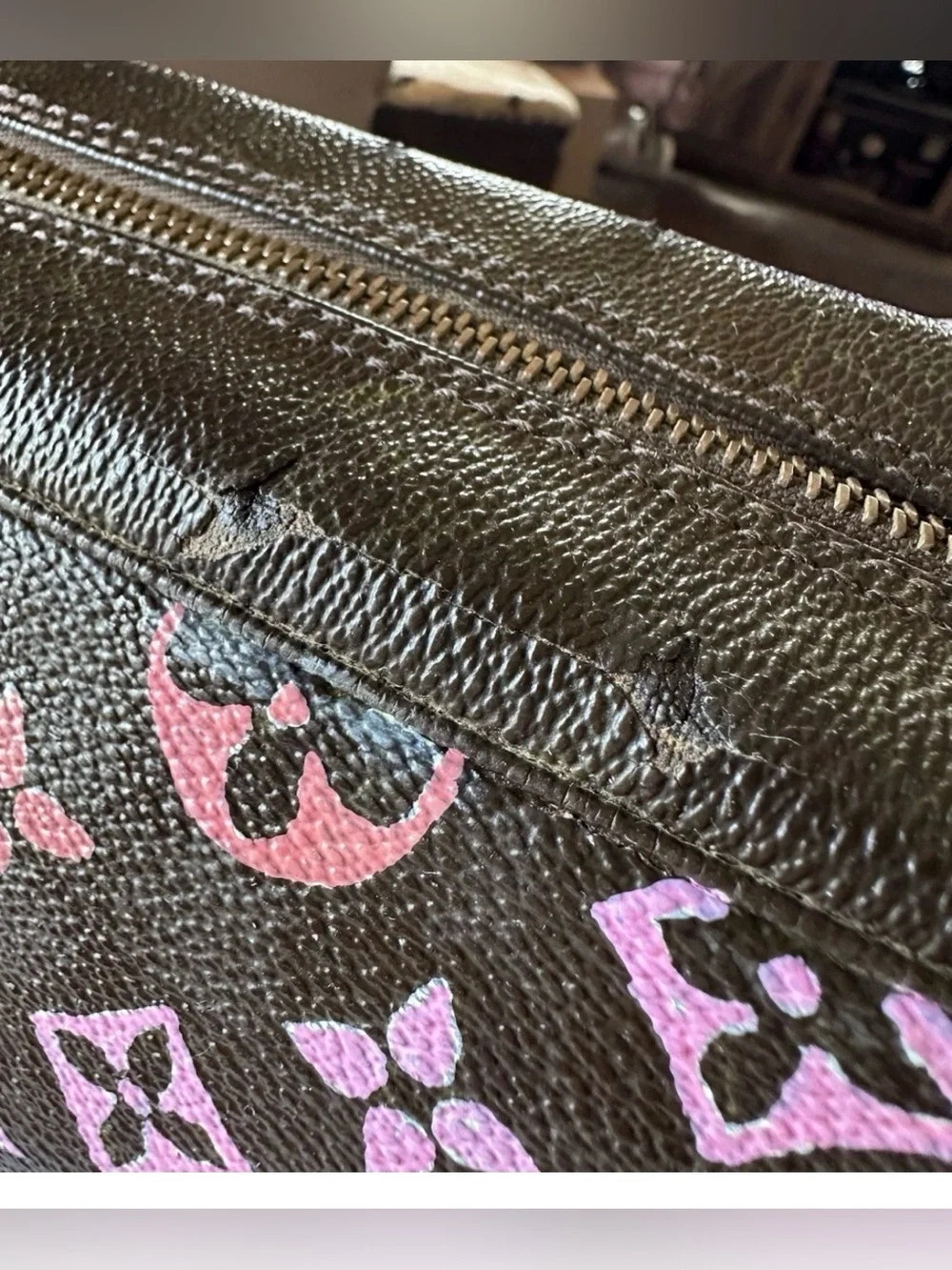 Louis Vuitton authentic louis