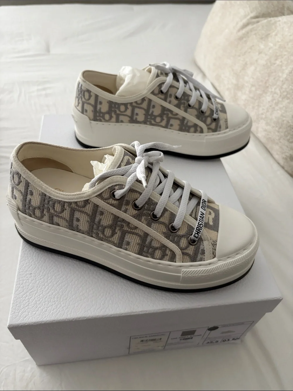 Dior signature oblique