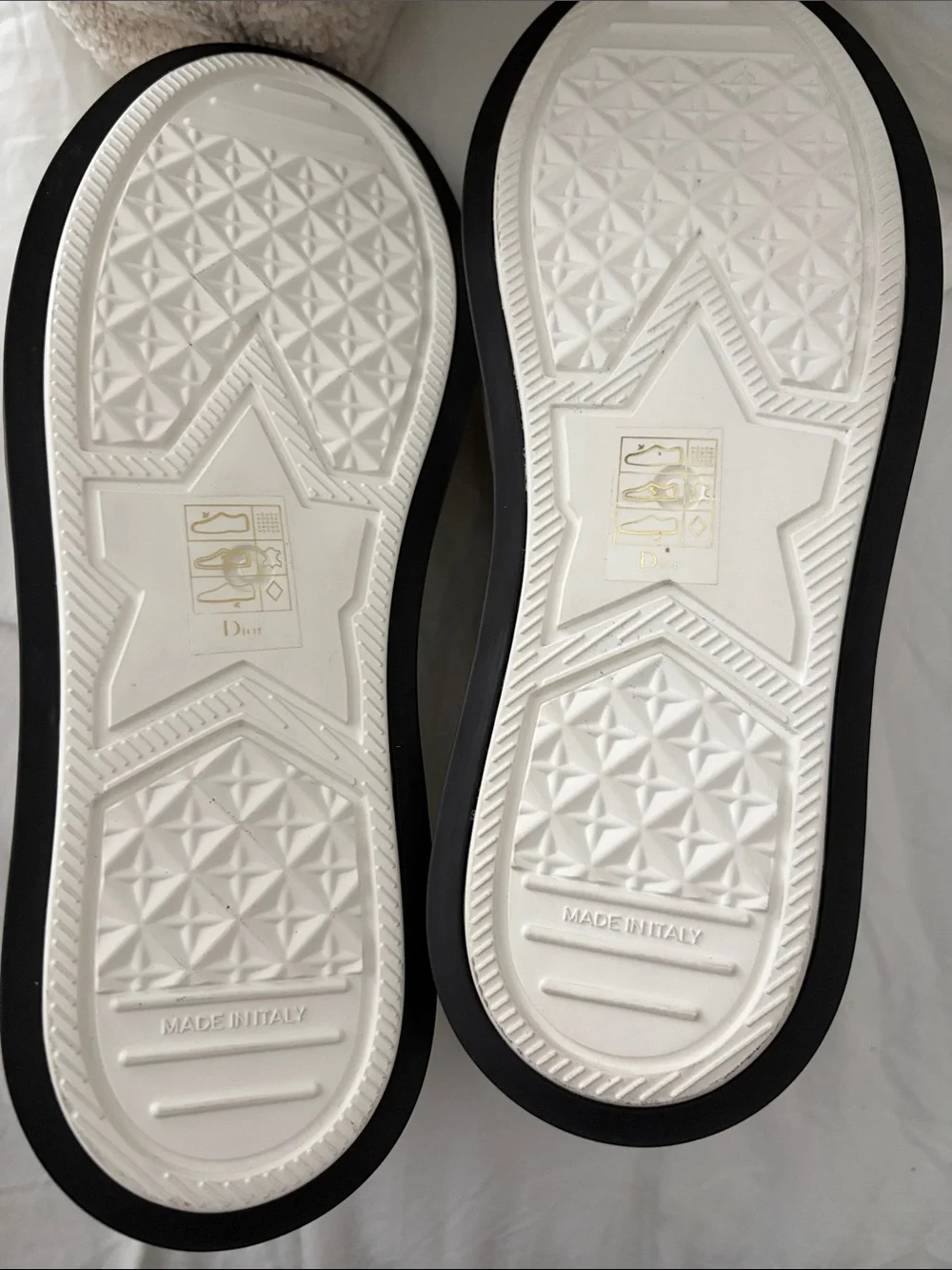 Dior signature oblique