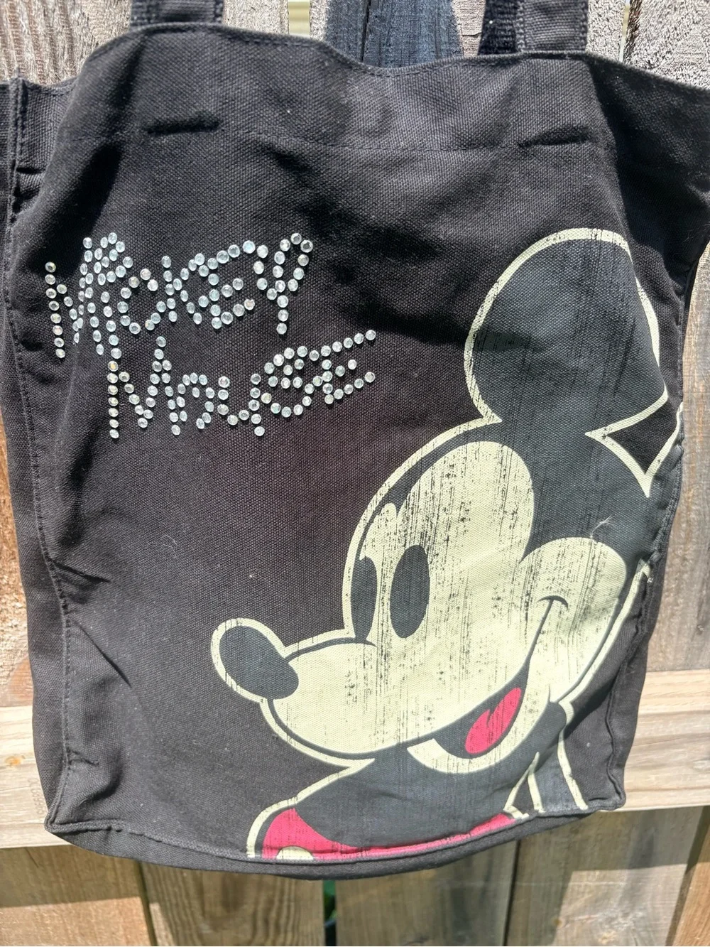 Disney black canvas