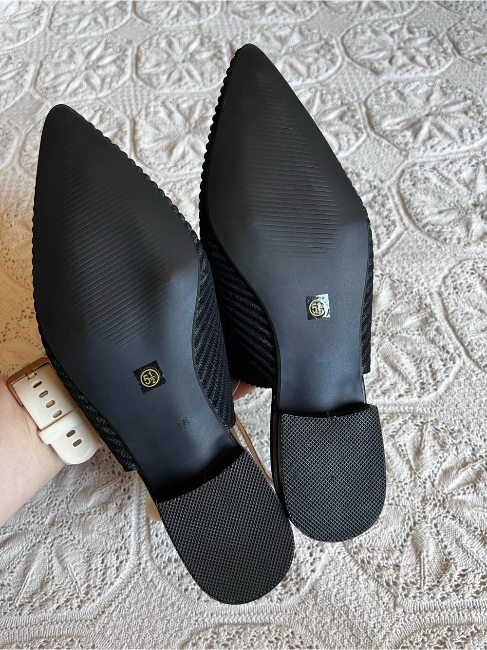 CCOCCI brand new
