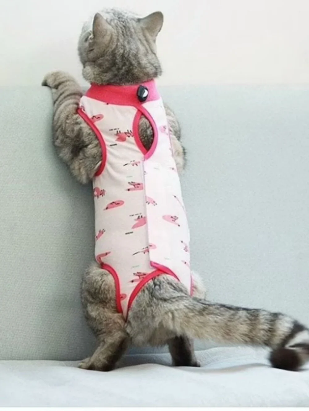 N/A size cat