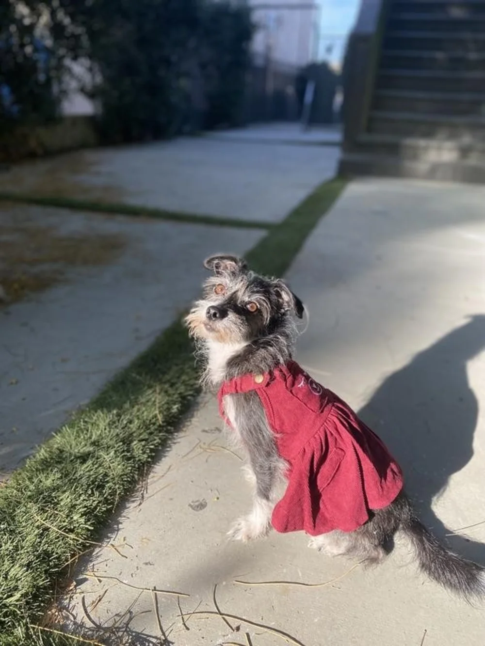 Frisco