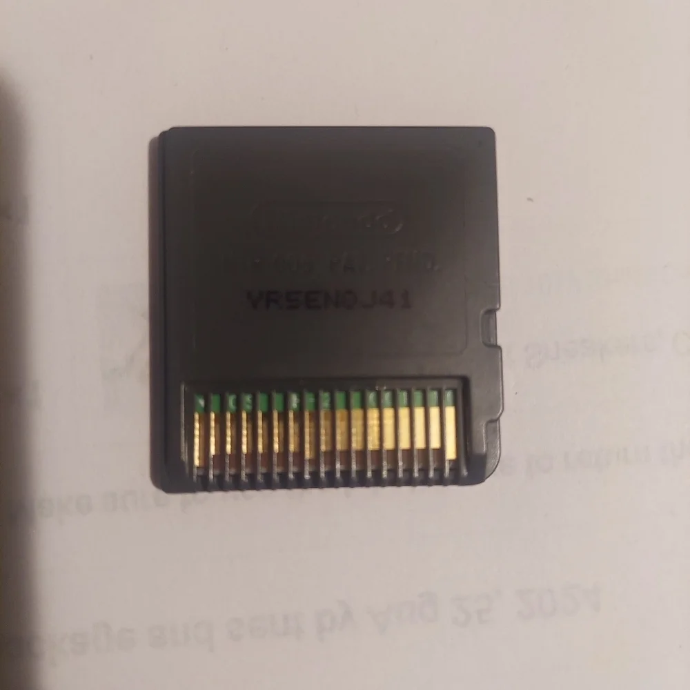 Nintendo ds pet