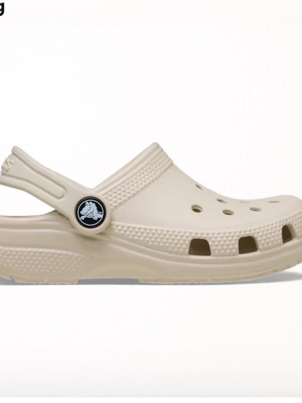 CROCS lightweight clog