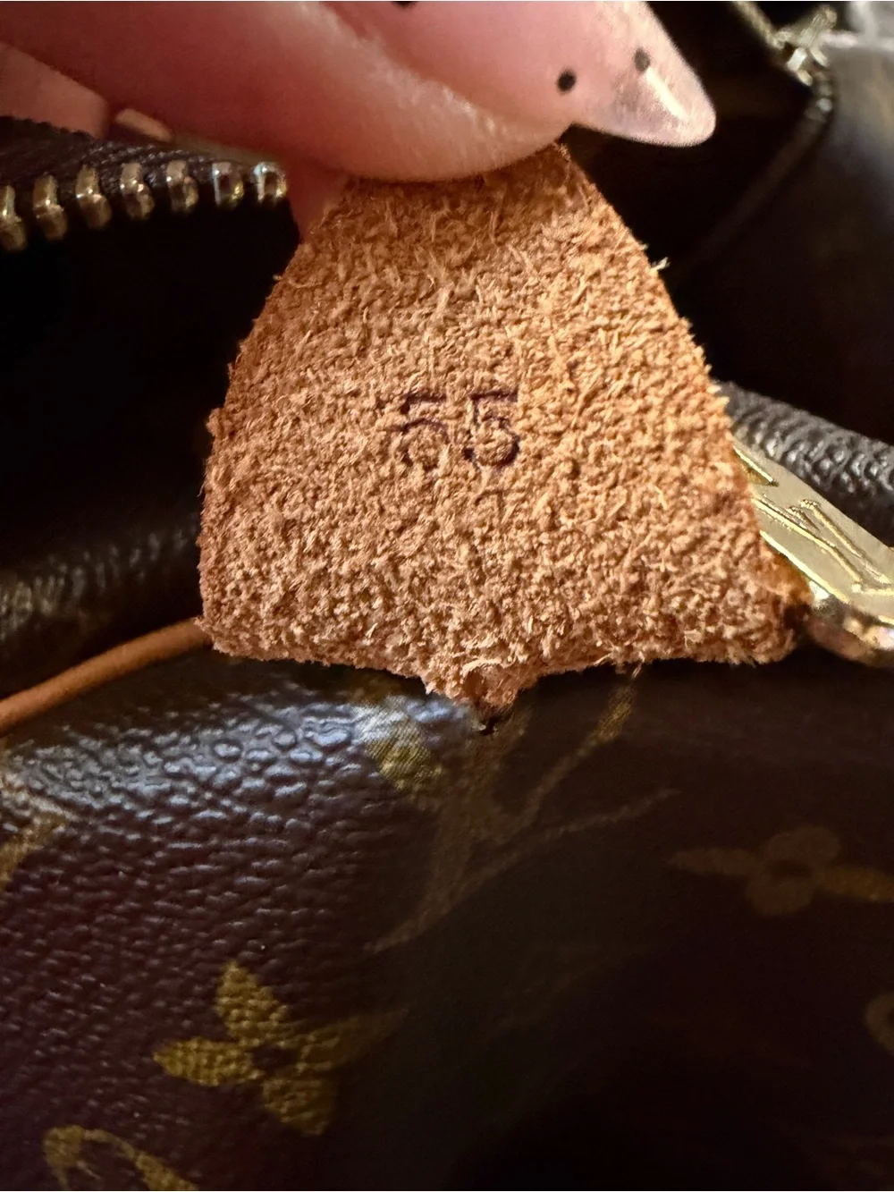 Louis Vuitton iconic louis