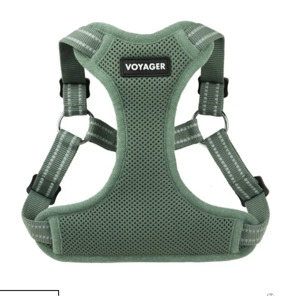 voyager ensure your
