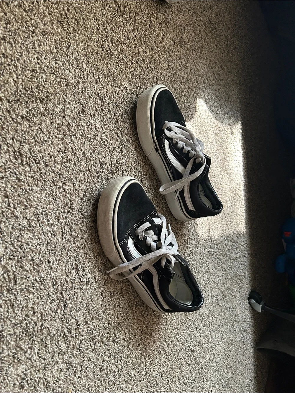 Vans low top