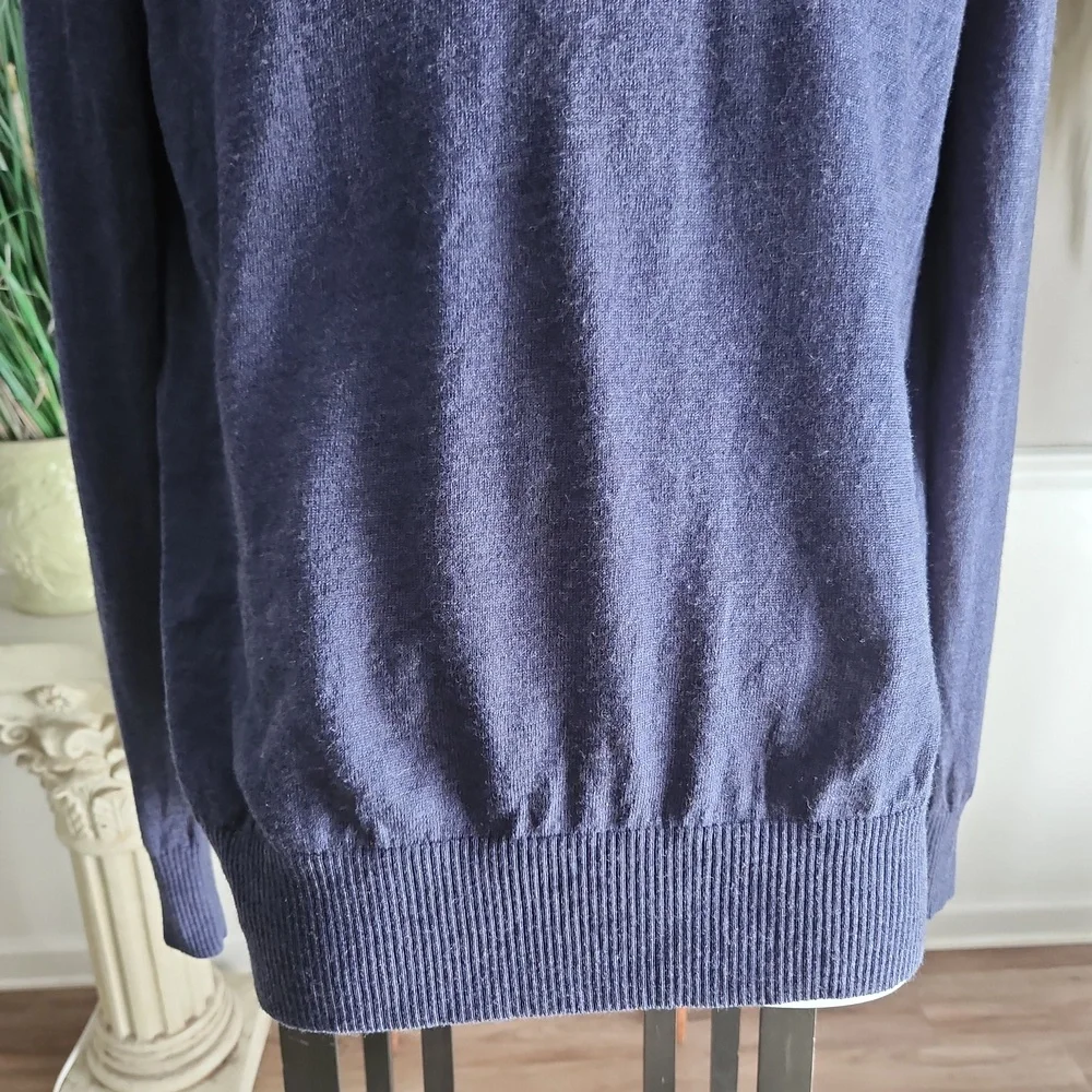 Banana Republic blue merino wool v-neck sweater