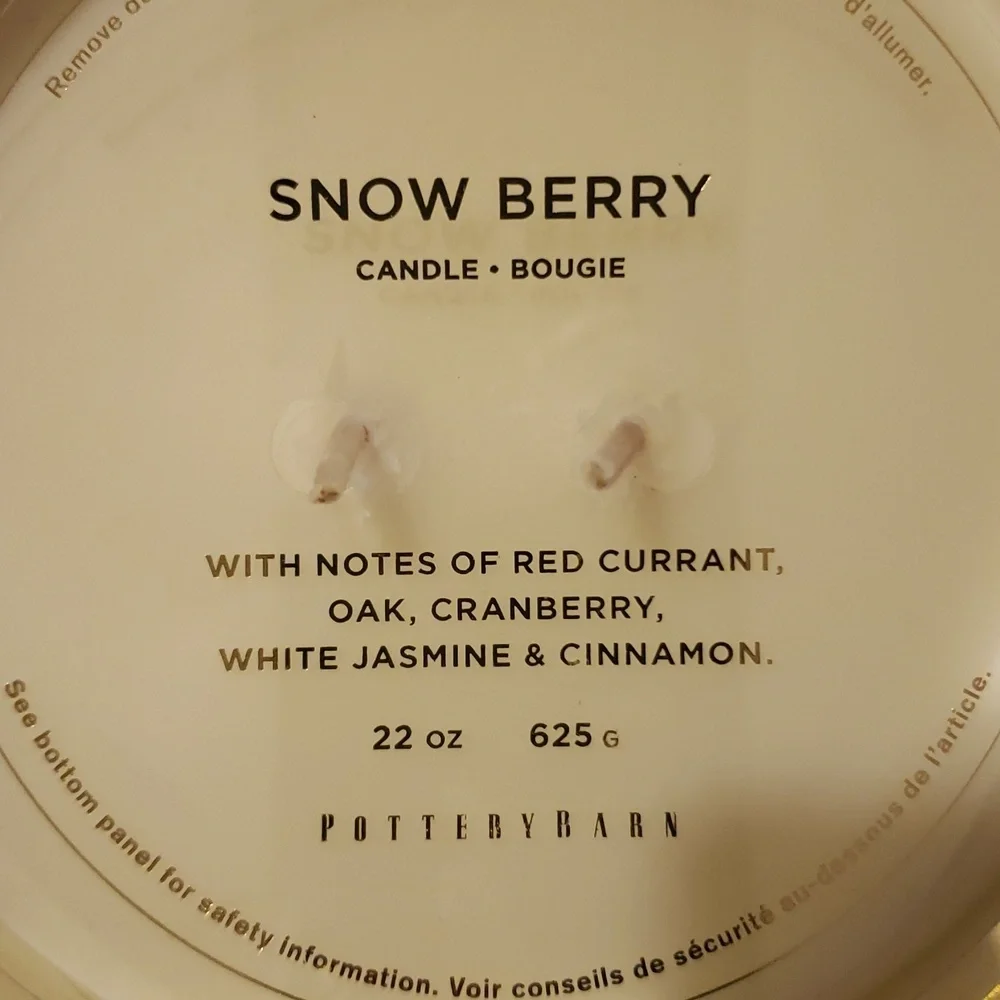 Pottery Barn snow berry