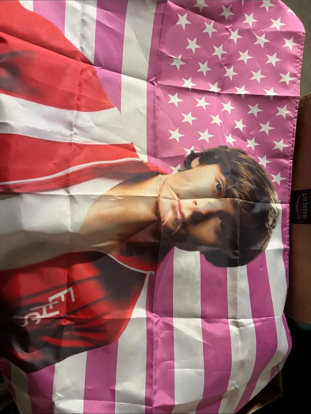 High School Musical Tapestry Flag
