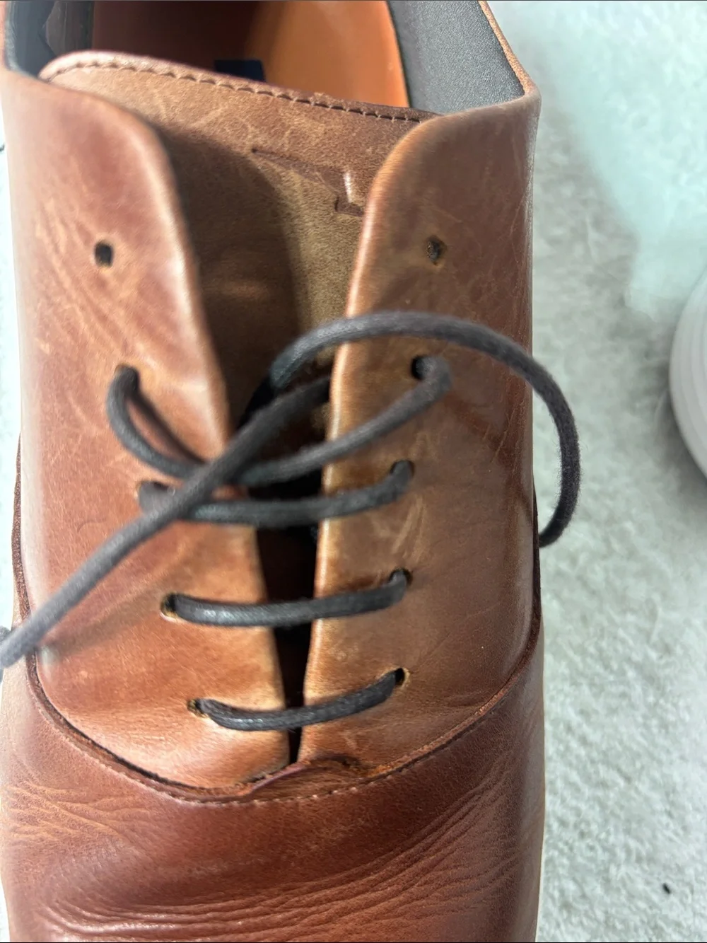 Wolf & Shepherd classic brown