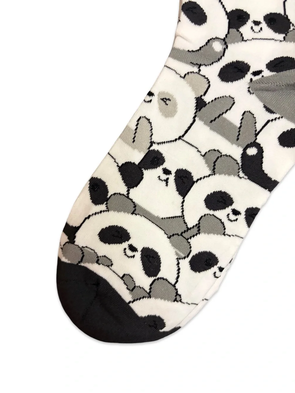 Unknown bear panda size