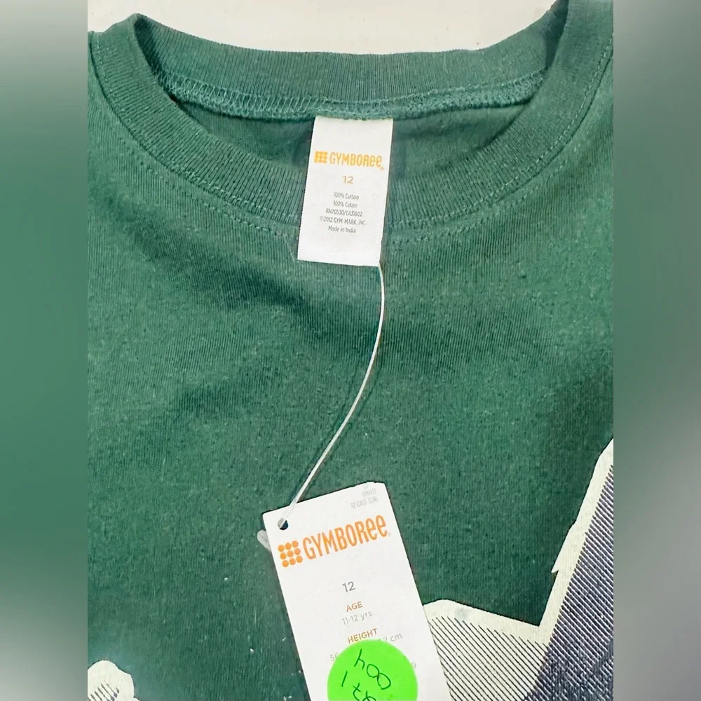 NWT GYMBOREE GRIZZLY LAKE GREEN LONG SLEEVE JET TEE‎ SIZE 12