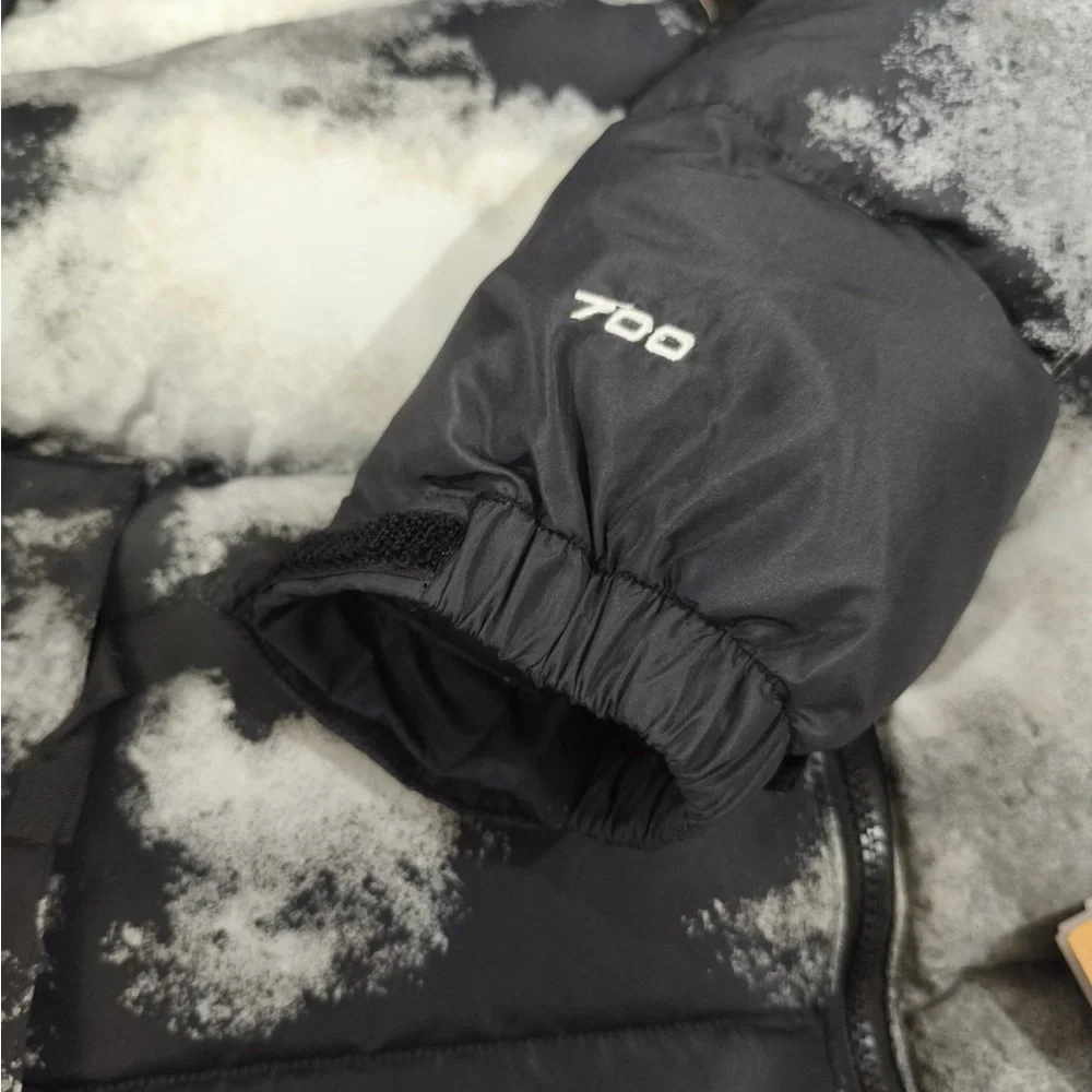 The North Face north face