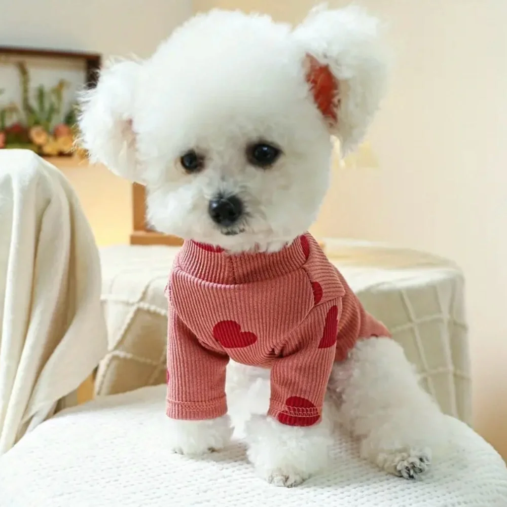 N/A fitted dog