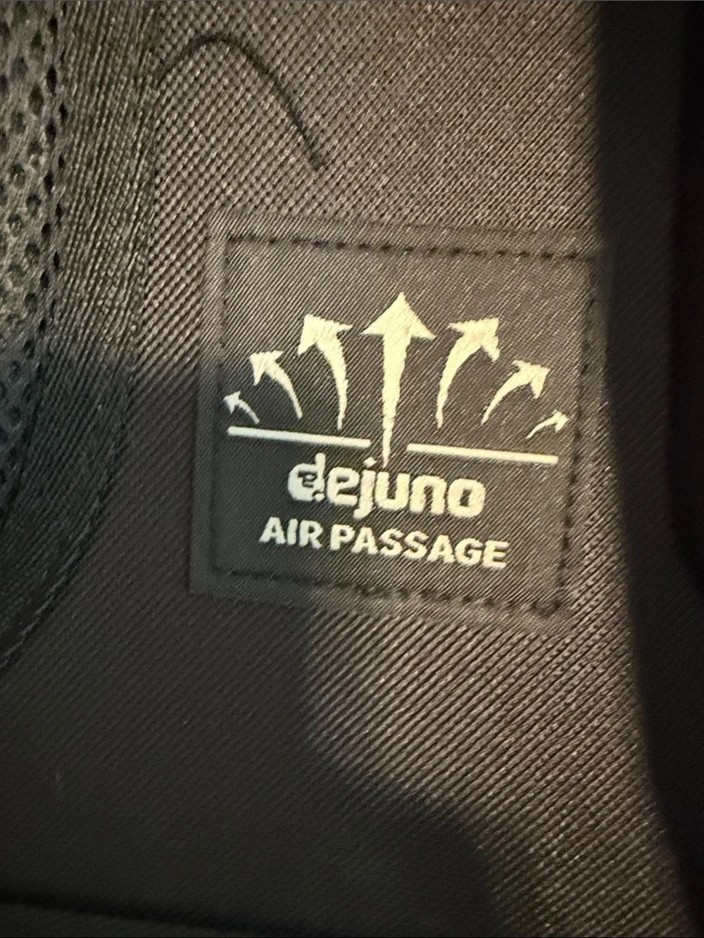 dejuno navy backpack