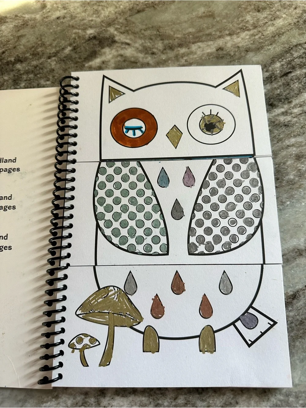 Color & Flip Book Spiral coloring Notebook with Playful Owl Design