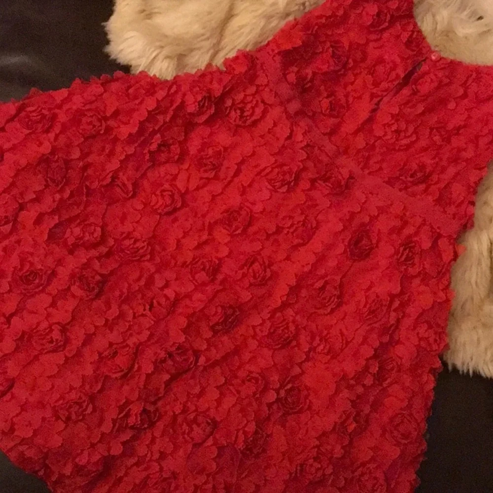 🌹Baby Gap red flower dress GUC size 5🌹