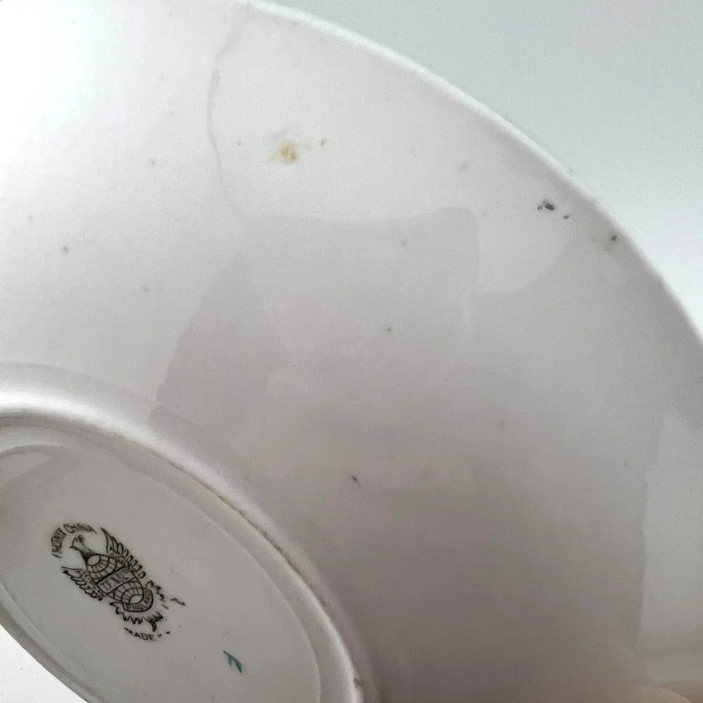 VTG Phoenix China England Floral Cup & Saucer TF&S Ltd Hand Painted Handle 1930s