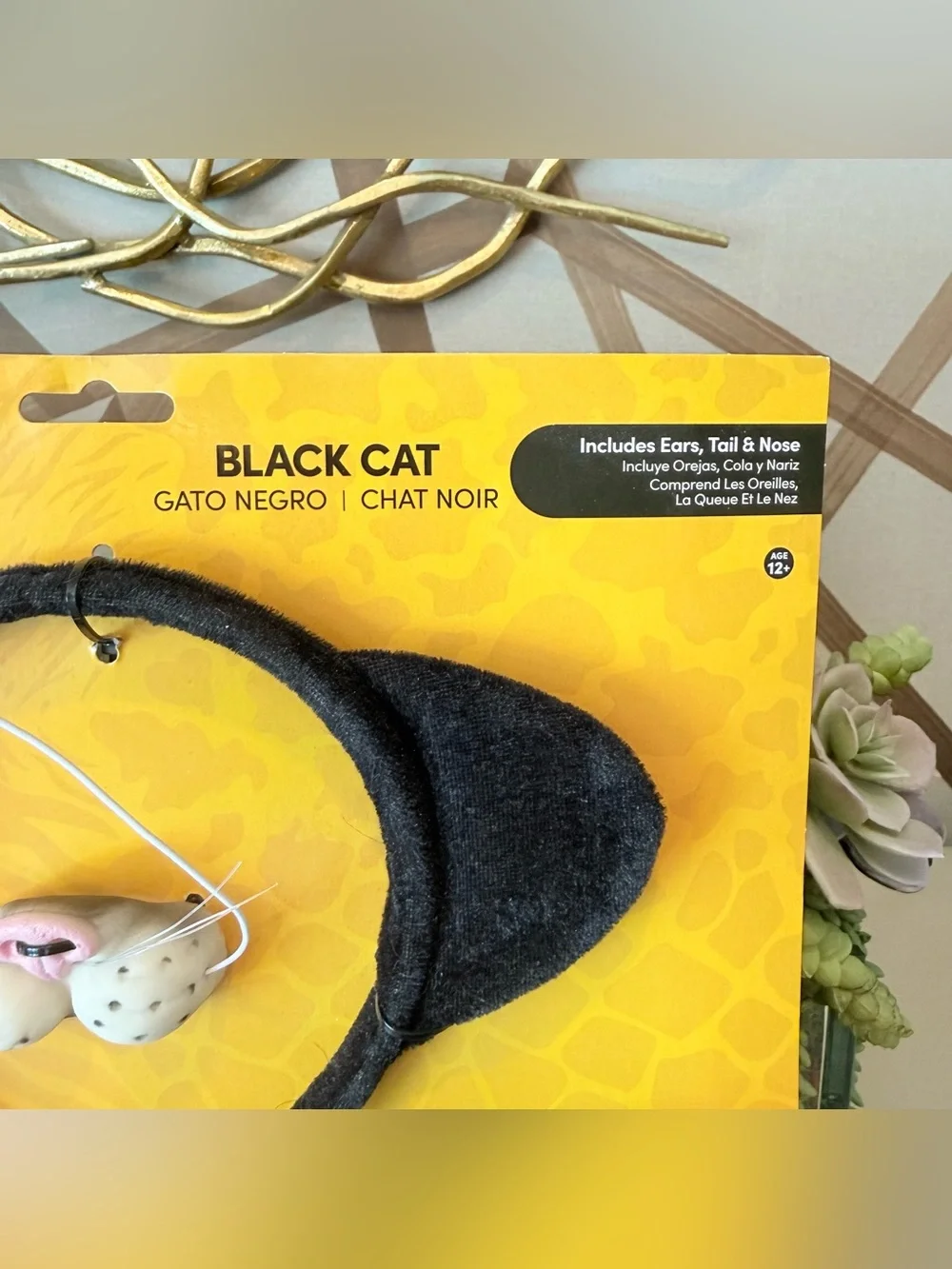 N/A black cat