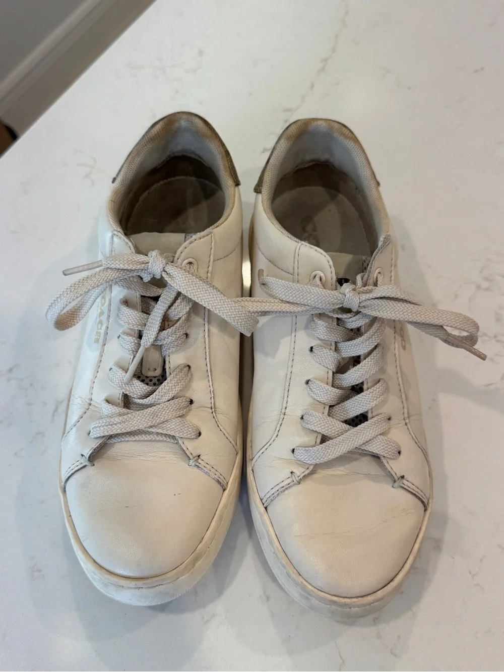 Coach Clip Low Top Sneakers