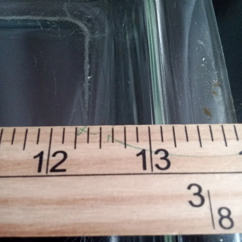 Pyrex clear glass
