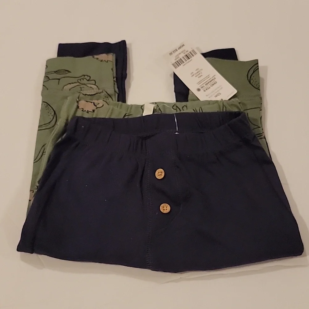 Carters Infant Boys Pants 12 months blue and green lion print and button front