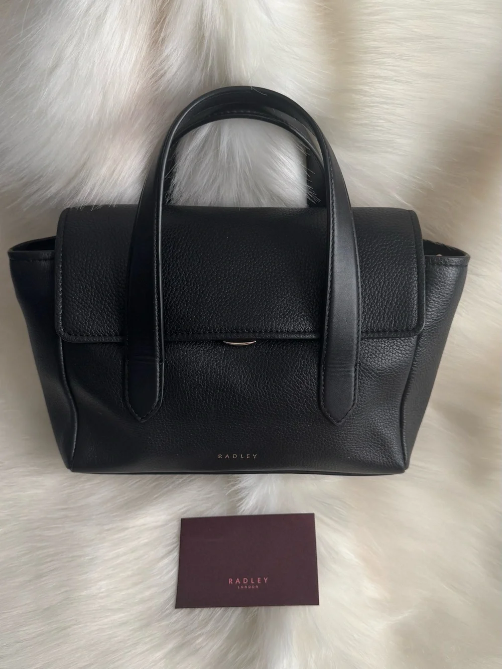 Bradley radley black