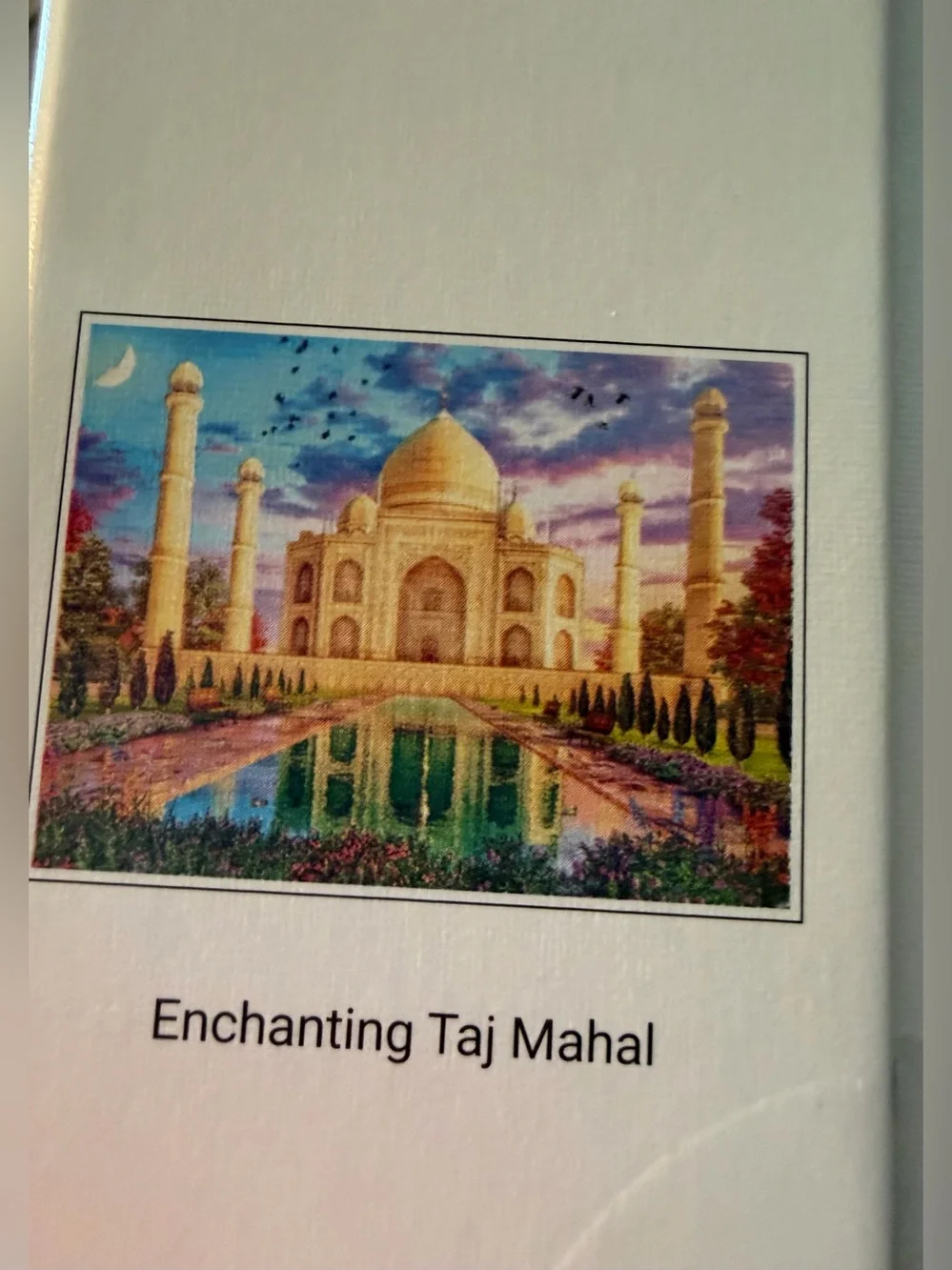 Ravensburger vibrant taj
