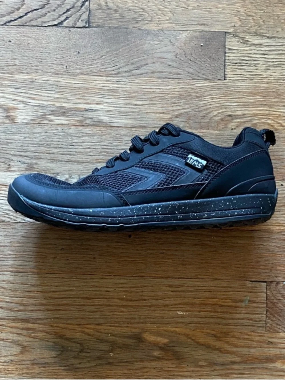 Lems primal pursuit