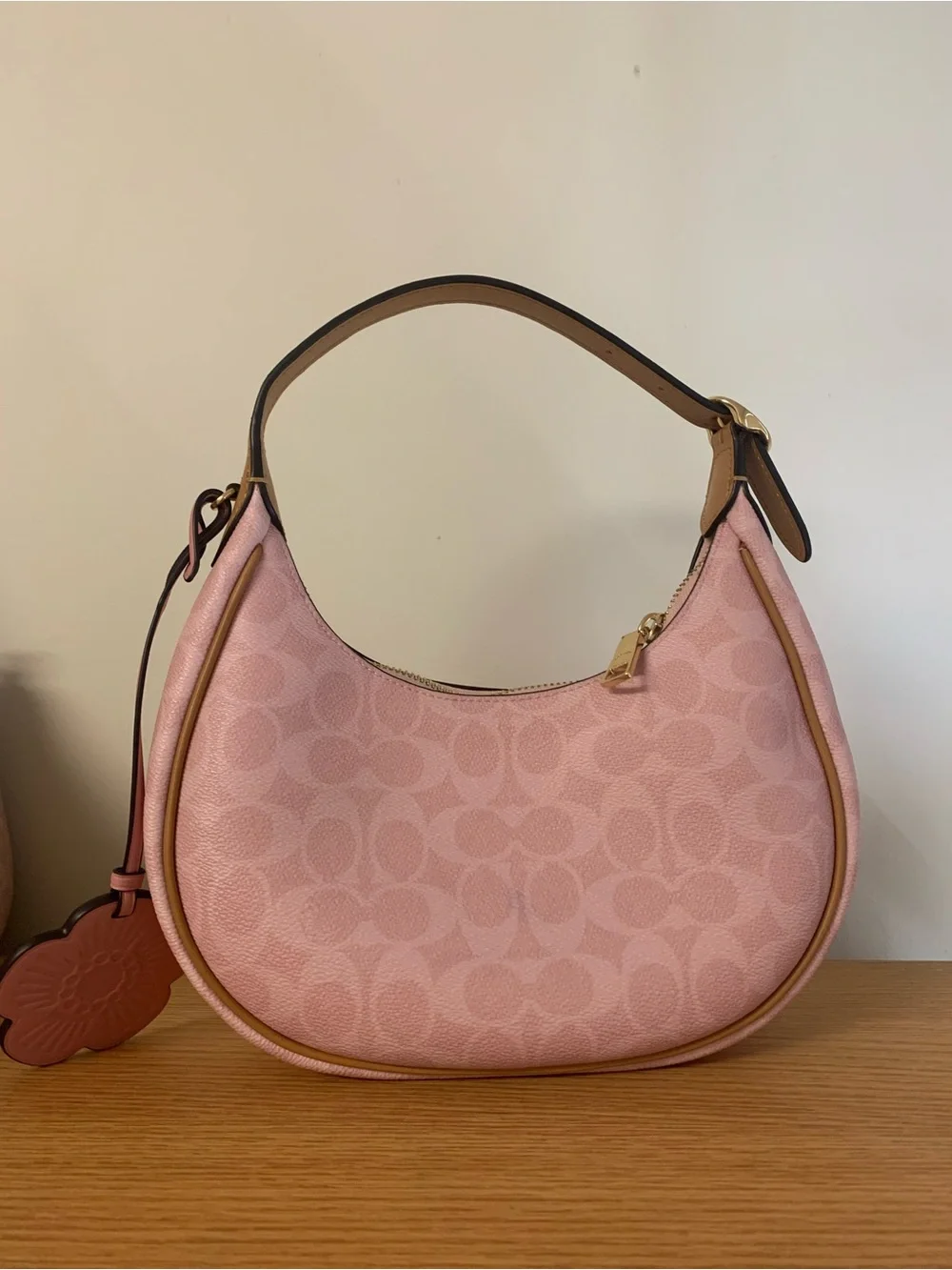 Coach signature canvas