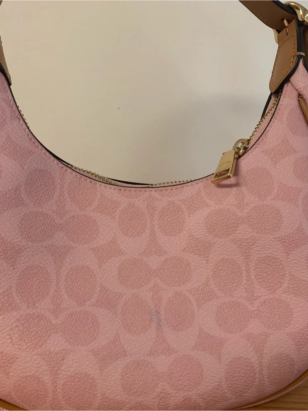 Coach signature canvas