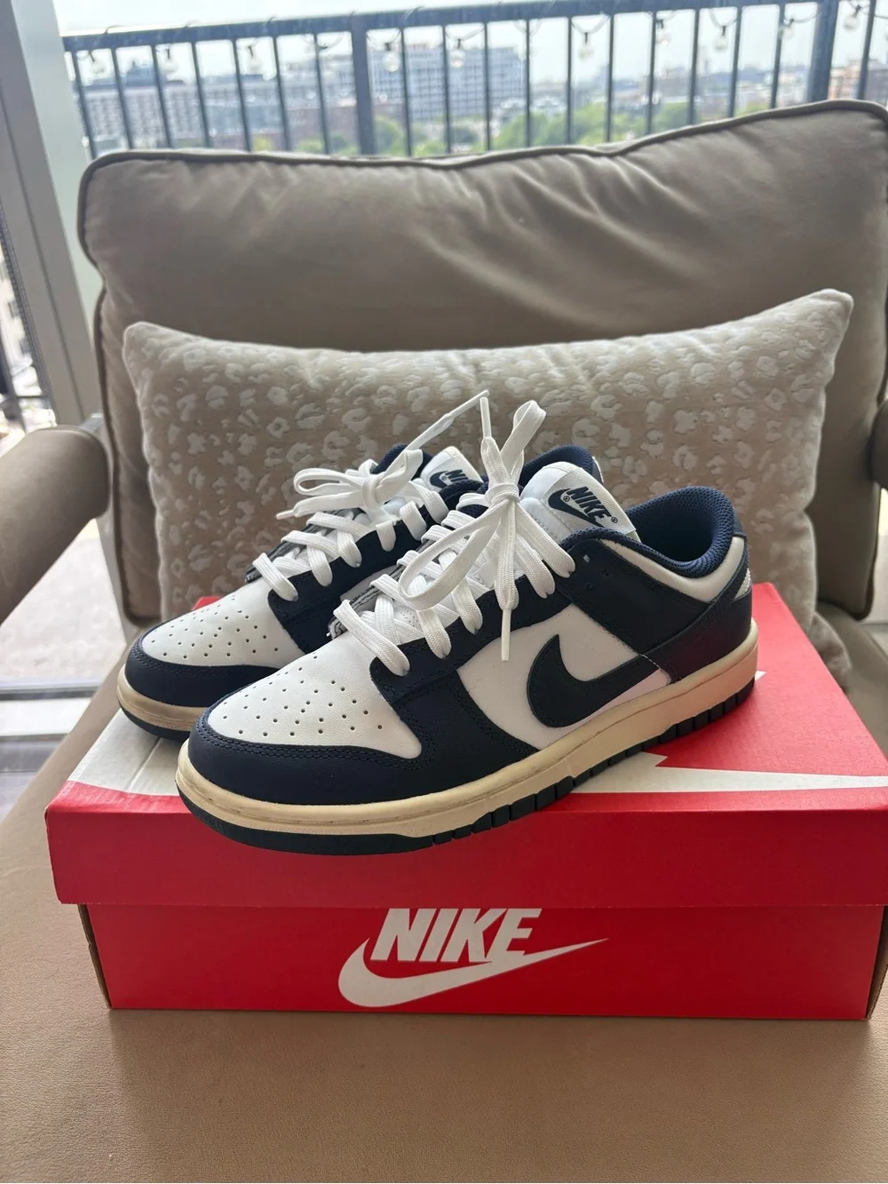 Nike low top