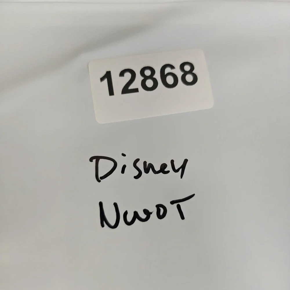 Disney baby dress