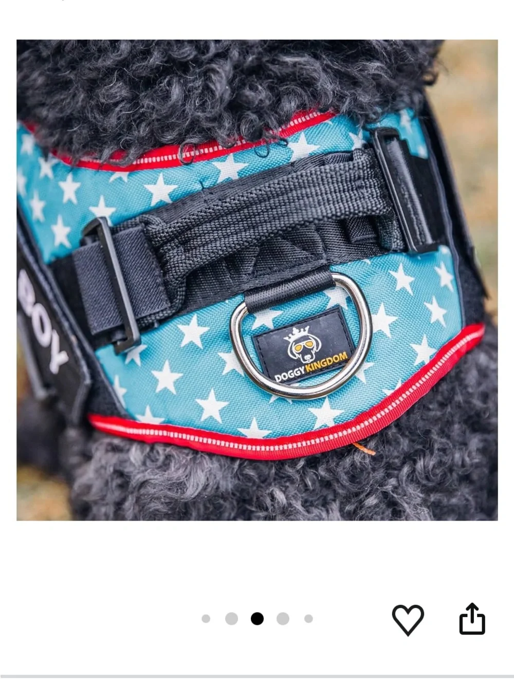 doggy Kingdom comfortable red
