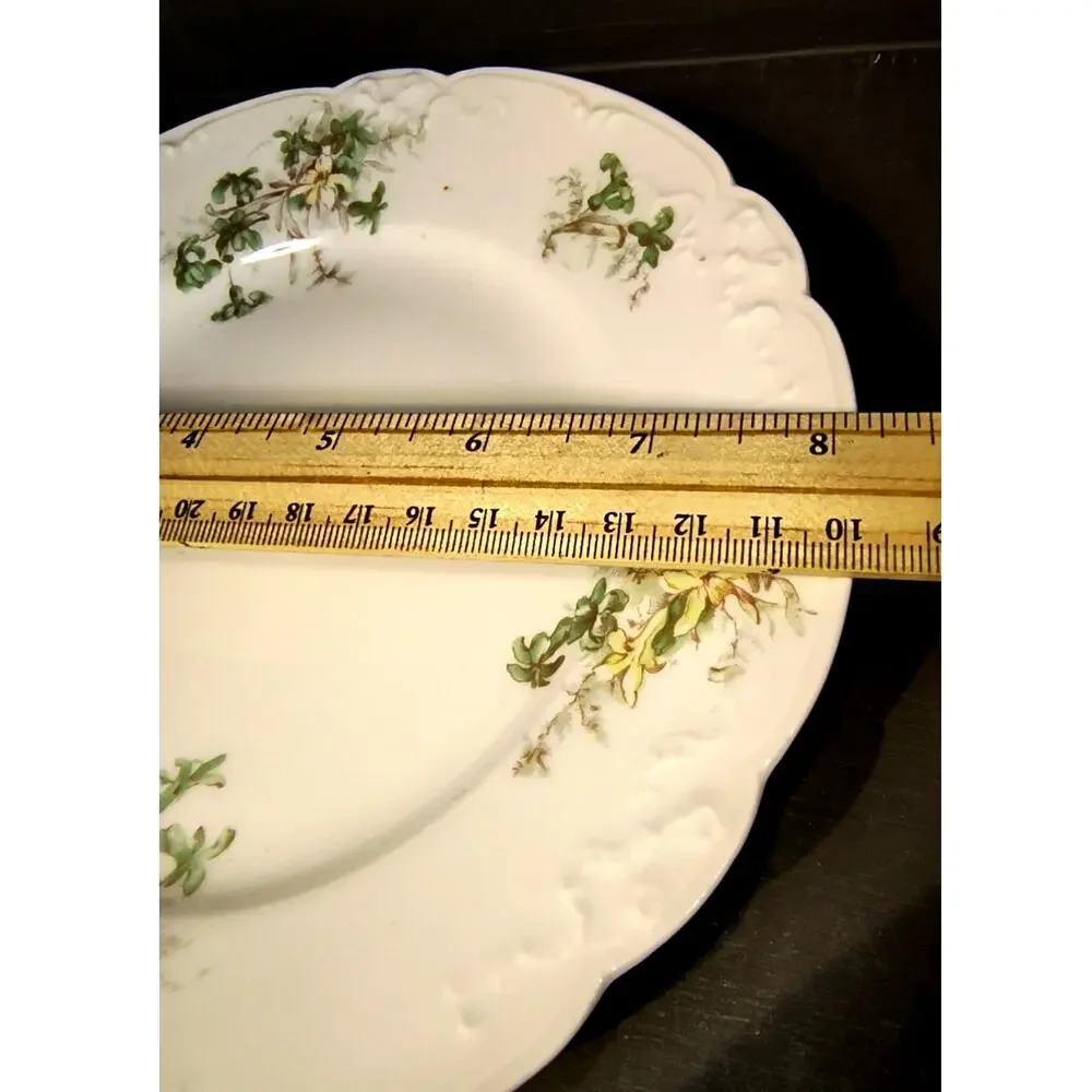 A. Lanternier plate soft wild