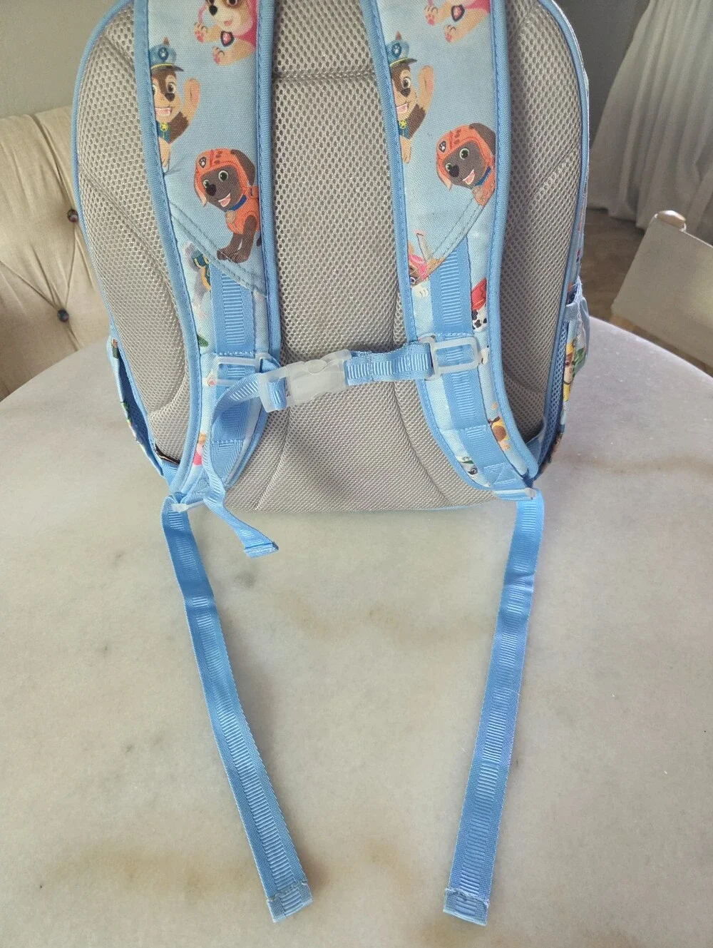 Pottery Barn Kids paw patrol™