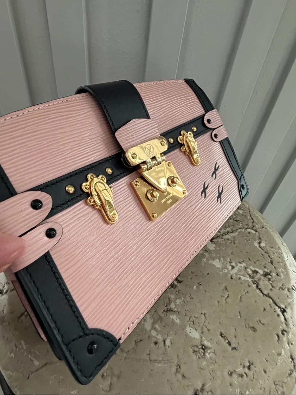 Louis Vuitton epi petite