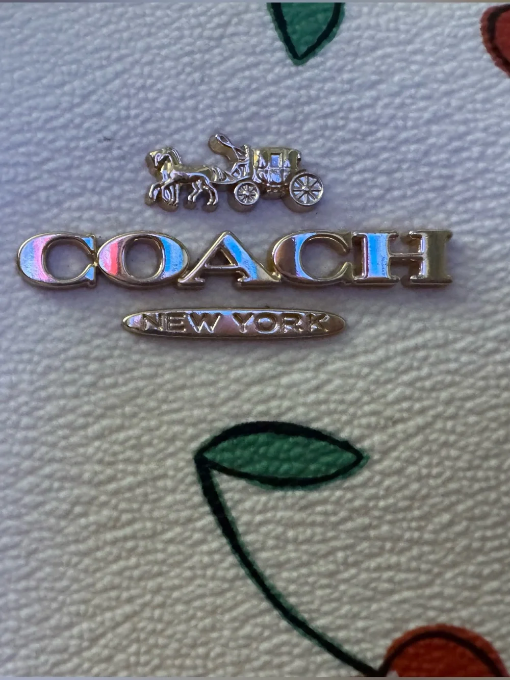 Coach are adding description