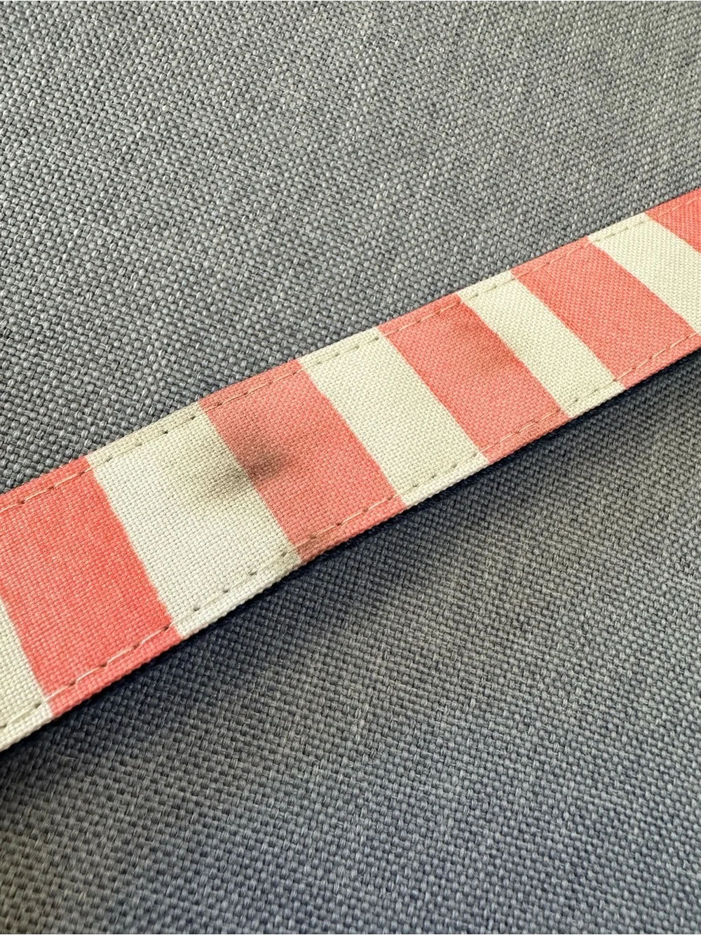N/A dog leash