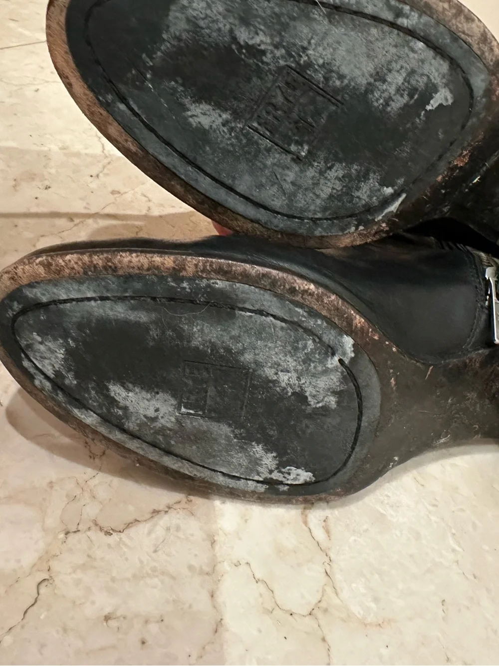 Frye phoebe bootie