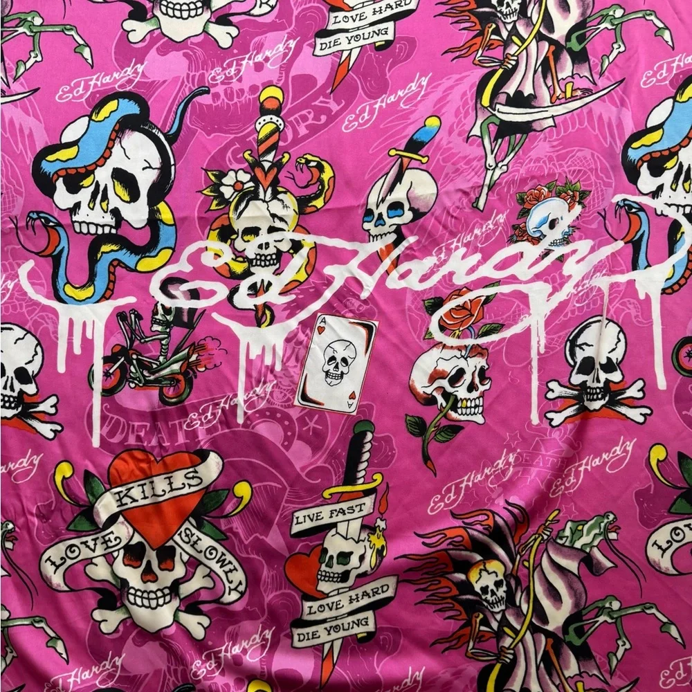Ed Hardy shown graphics