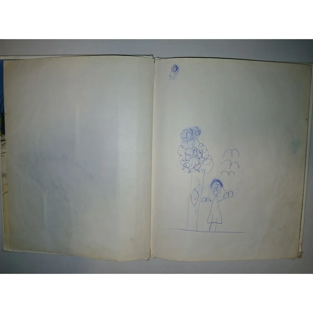The Old‎ Witch and the Wizard Hardcover Ida DeLage