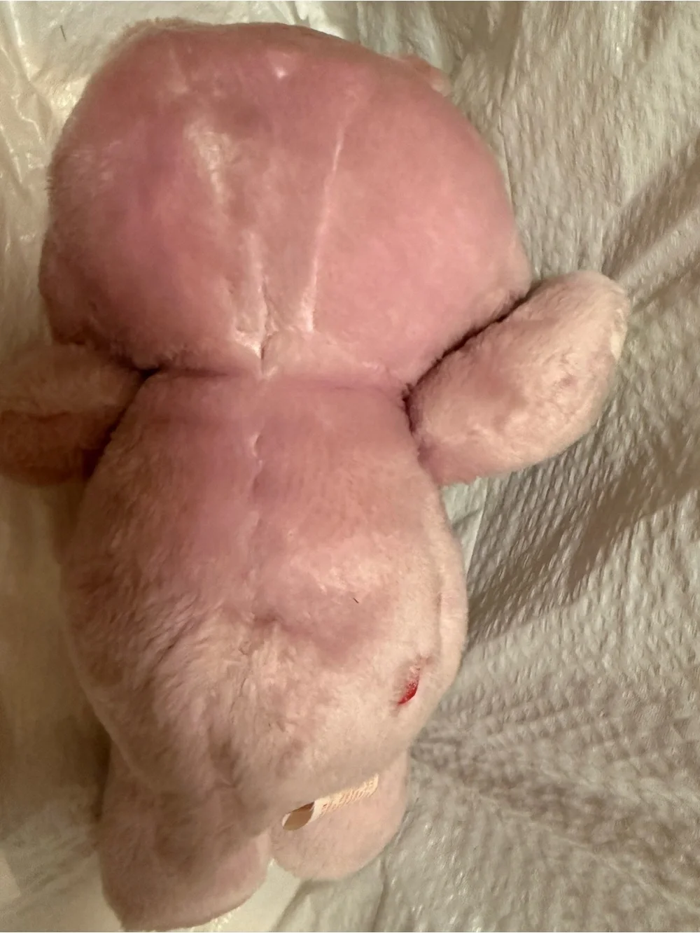 Vintage Care Bears Share Bear