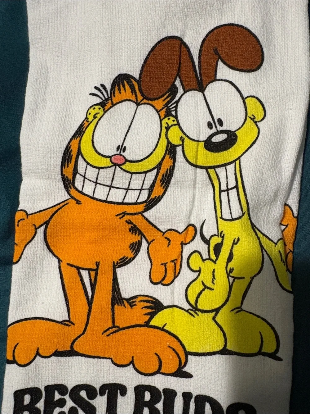 Paws Inc official garfield