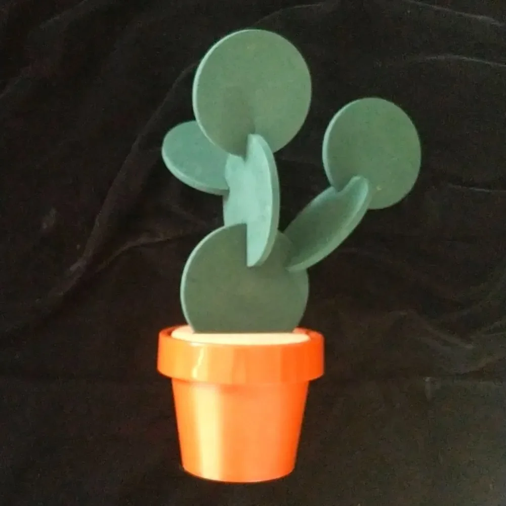 Cactus 🌵 Coaster Set