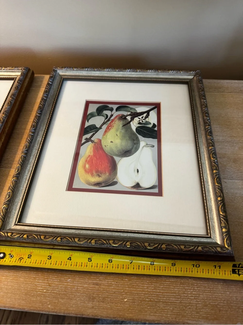 Set of 2 Framed Fruit Botanical Prints - Red, Green, Cream