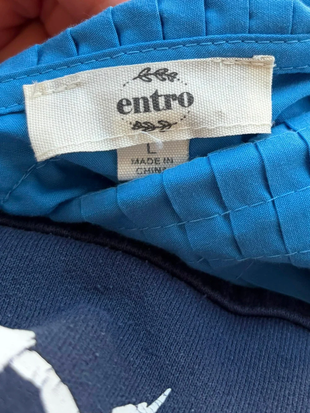 entro bright blue